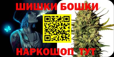 гашик Тара