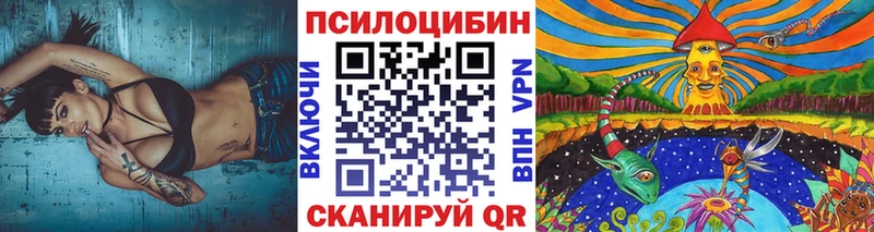 Галлюциногенные грибы Psilocybine cubensis  хочу   Новодвинск 
