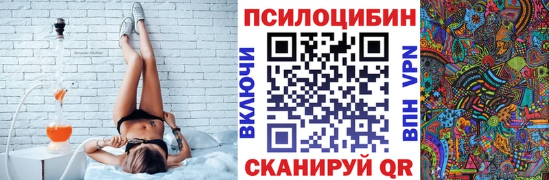 Галлюциногенные грибы Cubensis Новодвинск