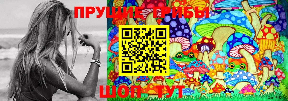 Псилоцибиновые грибы Magic Shrooms  Псилоцибиновые грибы Magic Shrooms  где купить наркоту  Вход с VPN  Новодвинск 