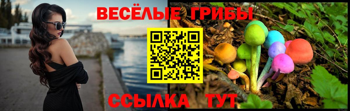 Псилоцибиновые грибы Cubensis Новодвинск
